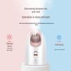 MKS Nano Cold & Hot Dual Spray Facial Steamer