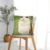 Pet Cat Funny memes Pillow Cover  Kawaii Pillow Case For Couch Sofa Bedroom Square Pillowcases Gift