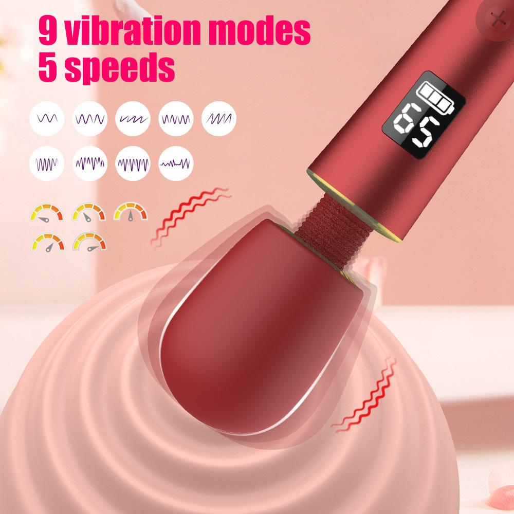 AV Vibrator for Women, Clitoral Stimulator & G-Spot Dildo with 9 Vibration Modes and 5 Speeds, Adult Sex Toys for Female