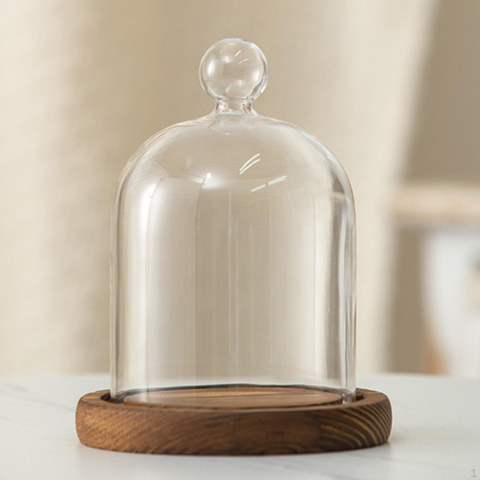 

Прозрачный стеклянный колпак-колокол диаметром 3,5 дюйма с прозрачной крышкой, круглый настольный шкаф-витрина с деревянным основанием Style B