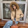 Waist hooded season coat large cotton-padded clothes versatile slim fashion short fur collar new thin cotton clothes women's winter white