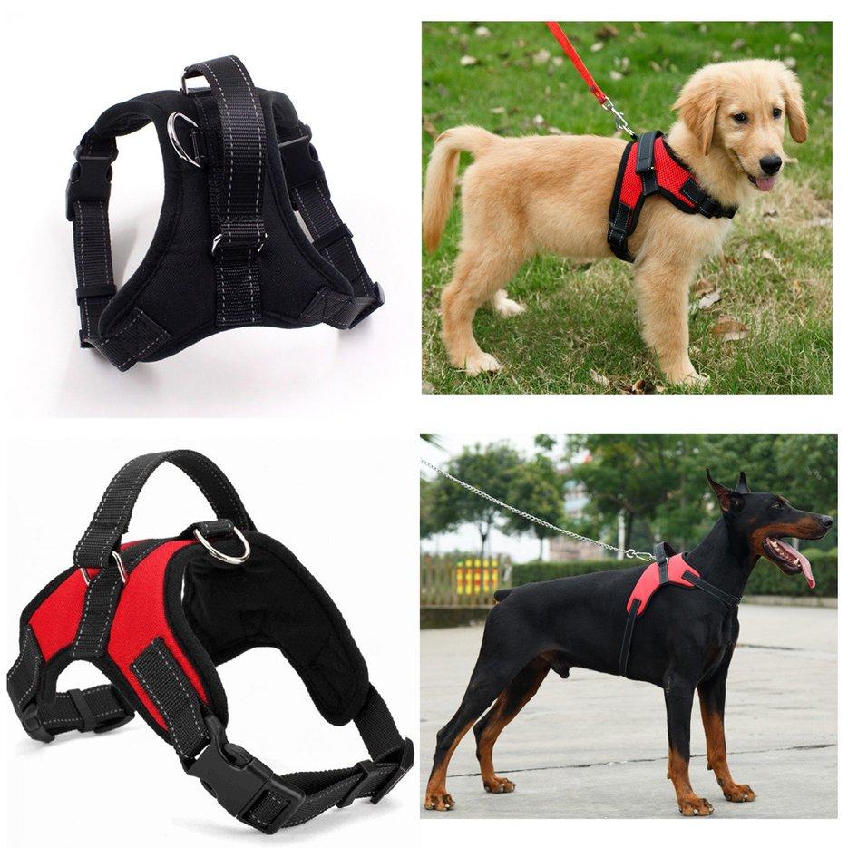 soft dog harness