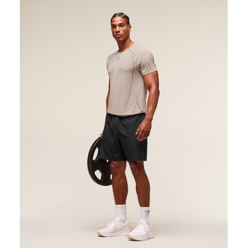 Gymshark Apex Seamless T shirT Mushroom Grey piTch Grey A2b3s gdmT