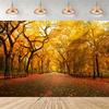 Rustic photographic backdrop: Maple forest, orange autumn leaves, pumpkin banner, for baby shower decorations4920