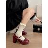Wang Fan red thick heel high heels 2026 spring and autumn with skirt small Mary Jane shoes
