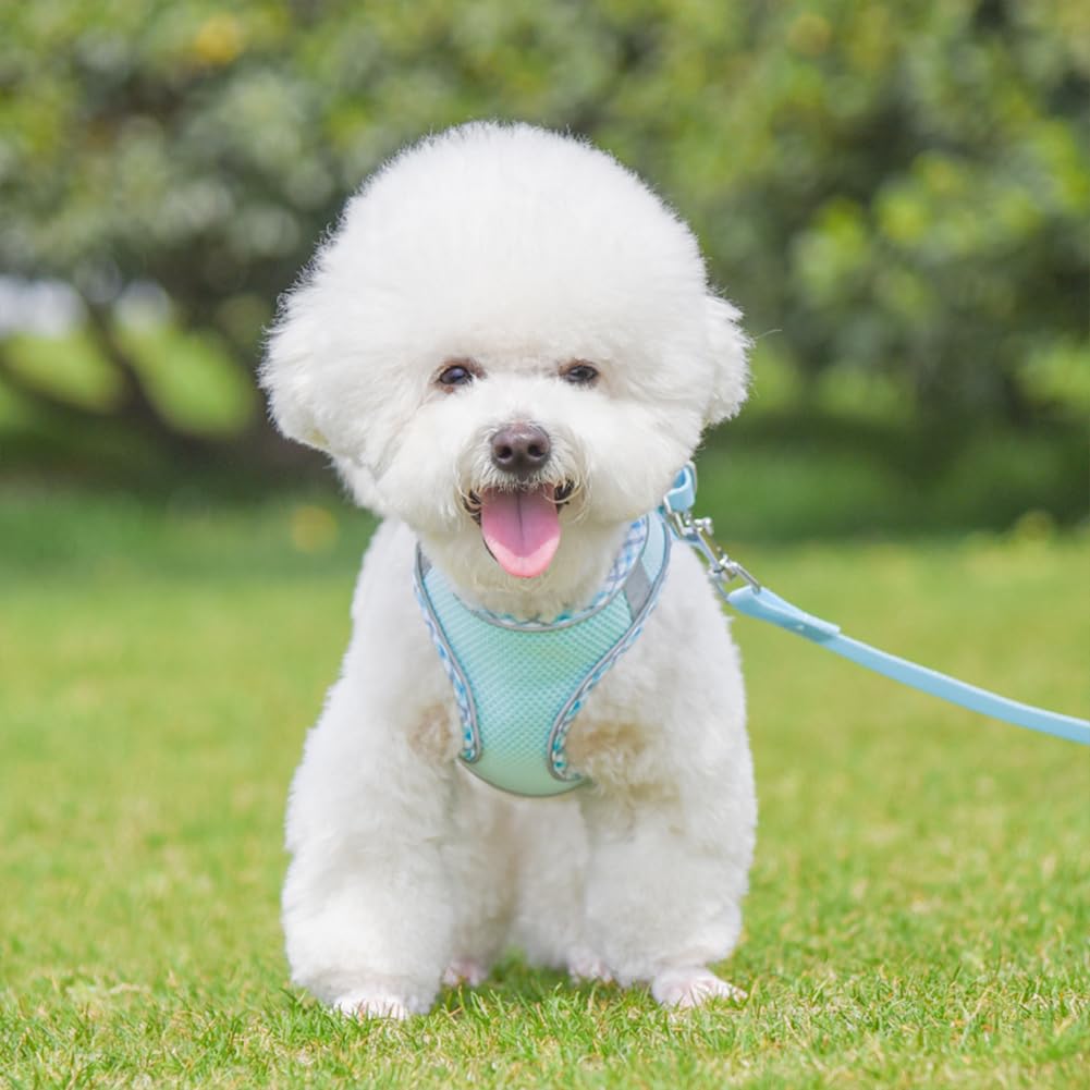 KUVEELA PET Small Dog Cat Medium Dog Harness Lead Set with Traction Rope Bib Belt Dog Wear with Reflective Strips Mesh Stylish Adjustable Walking Easy