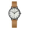 Simple High-End Cic Style Women'S Light Luxury Waterproof Belt Quartz Watch