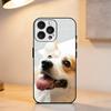 C-Corgi D-Dog    Phone Case For iPhone 17,16,15,14,13,12,11 Plus,Pro Max,XS,Soft Silicone Black Cover