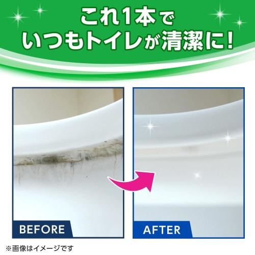 Scrubbing Bubbles Flushable Toilet Brush, Floral Soap Scent, Main Brush + 16 Refills (4 Brushes Included + 12 Refills), Black, Disposable Brush, Deter