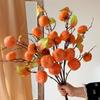 Persimmon Fruit Flower Arrangement: New Year's Dried Floral Decoration