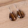 Natural Crystal Stone Water Drop-shaped Ear Hook Earrings for Women Girls Agate Stone Reiki Healing Earrings Hook Earrings 1Pair