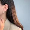 Heavy Industry Two-color Rear-hanging Water Drop Earrings for Women Fashionable and Handsome All-match New Ear Dresses