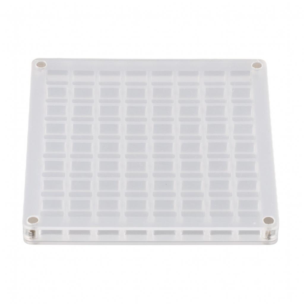 Sleek Acrylic Magnetic Seashell Display Box A Must Have for Shell Collectors