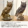 elrinrin Owl Ornament, Garden Object, Gardening Monument, Crow Deterrent, Realistic, Feng Shui, Good Luck Charm (Black and White Set)