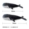 Whale Body Pillow, Whale Plush Toy, Cushion, Belly Pillow, Extra Large (Total Length 120cm), Animal, Large Size, Soft, Side Sleeping, Washable, Girl,
