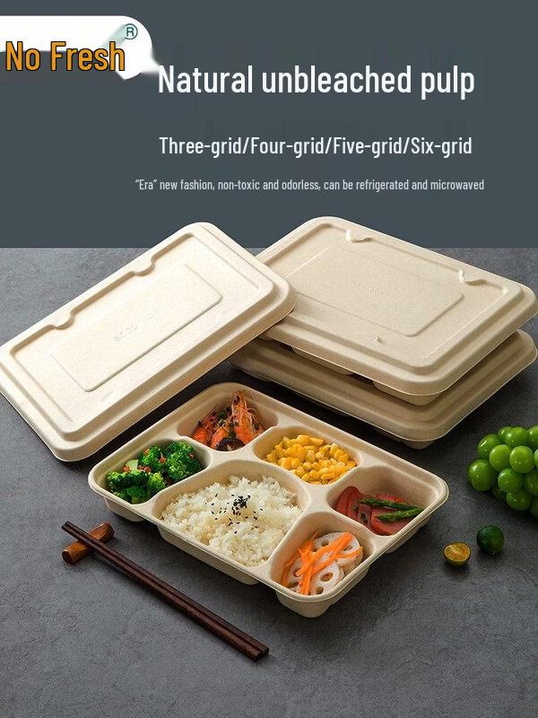 ZISIZ Disposable Multi-Compartment Paper Lunch Box