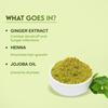 Jovees Herbal Mehandi Henna Powder With Amla Shikakai Brahmi For Hair Conditioning Repair Hair Fall Control 150g Pack Of 2