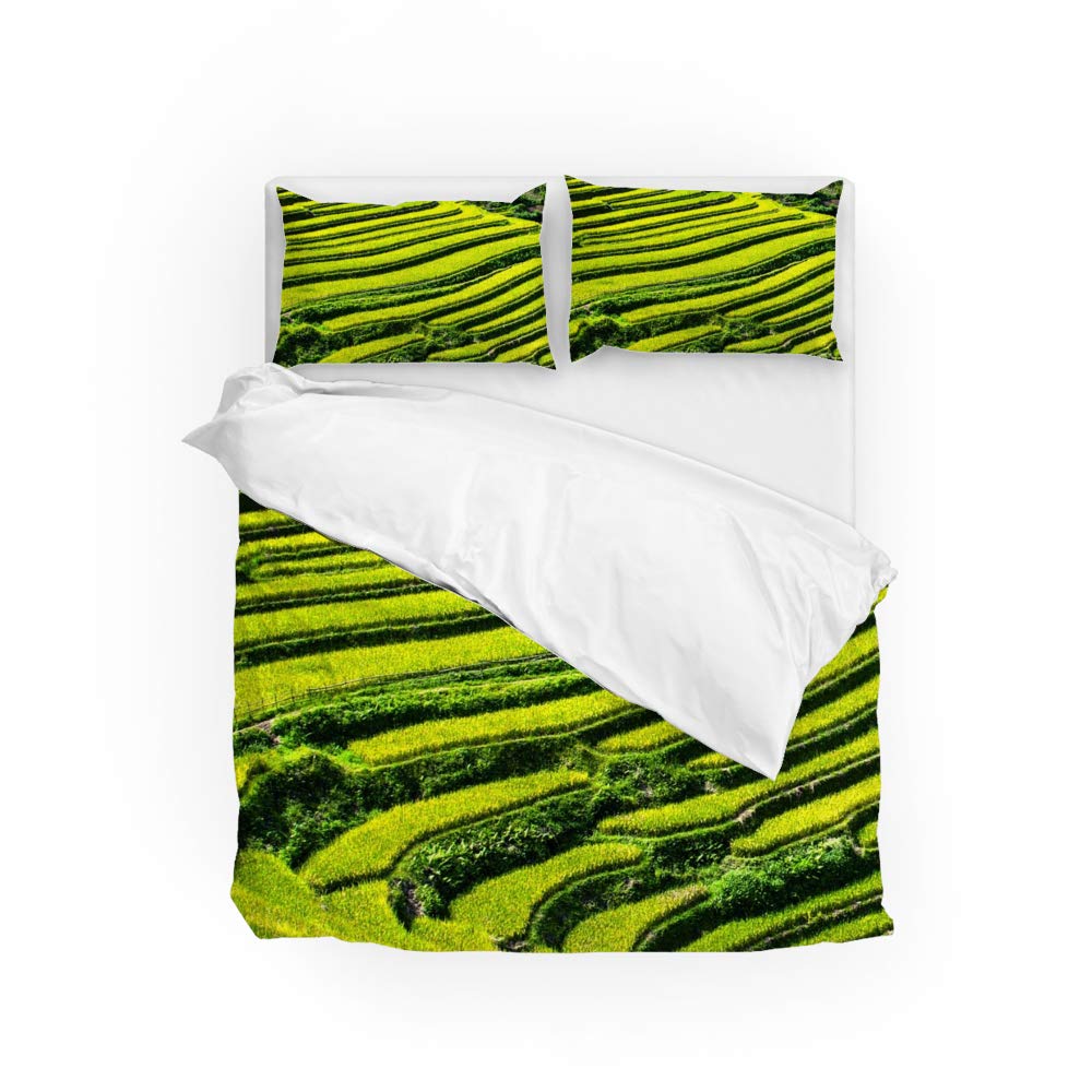 Rice Field Duvet Cover Set For Teens Queen Lightweight Down Quilt Covers Bedroom Decor 2 Pillowcases 1 Duvet Cover No Comforter