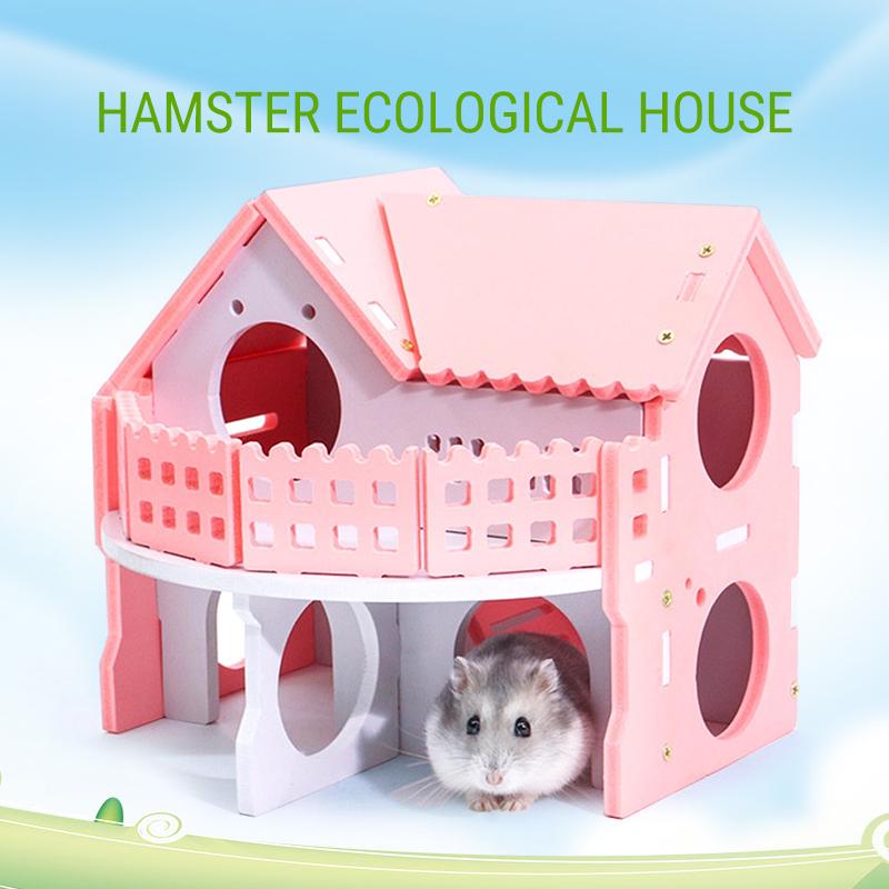 home hamster