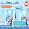 Summer Cooling Magic Ice Patch, Cooling Patch for Students, Military Training, Heat Reduction, Heat Dissipation Patch, Summer Ice Compress To Prevent