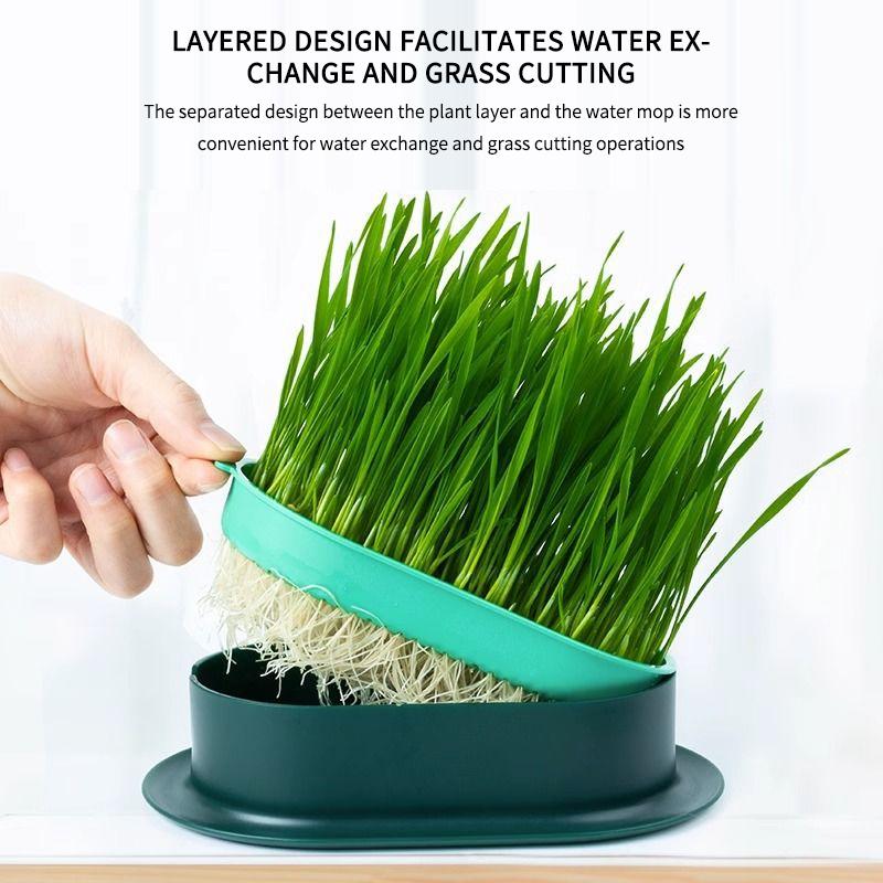Cat Grass Potted Seed Seedling Tray Lazy Planting Soilless Hydroponic Cat Grass Cat Hair Grass Wheat Seed Snacks