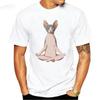 New Tops T Shirt Women Sphynx Cat Comic Inscriptions Print Female Tshirt