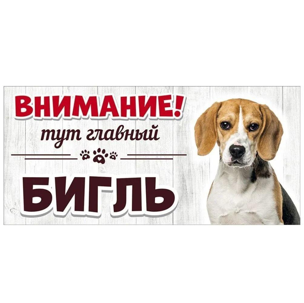 Evil Pomeranian Spitz Sign, Metal Fence Door Plaque 30x15cm