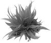 Byutfa Feather Brooch Scarf Clip Vintage Flower Pin Christmas Party Jewelry