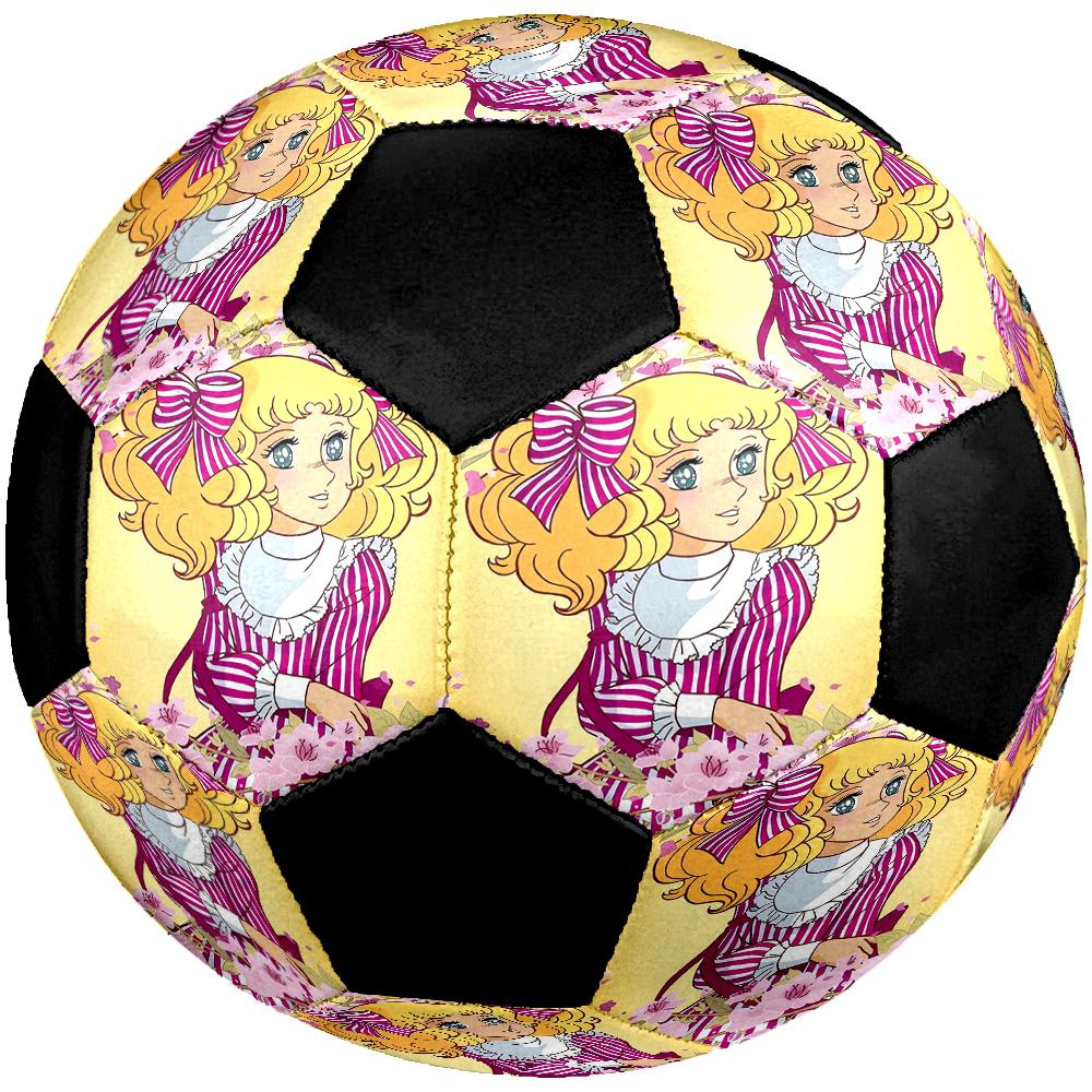 The Rose of Versailles Theme Size 5 Soccer Ball, Suitable for Both Indoor and Outdoor Matches, a Gift Suitable for Everyone.