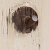 Adhesive Wall Hook No Drill Wooden Hook Wood Oil Waterproof Processing Hook for Bathroom Kitchen Coat Towels