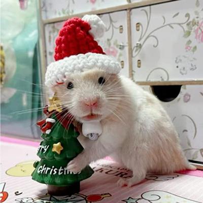 Handgemachte gewebte Weihnachtsdeko-Mütze - Mini-Party-Accessoire für Haustiere - Niedliche Tiermütze zur Heimdekoration Praktische Haustiermütze