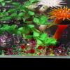 Aquarium Landscape Cobblestones Colorful Vase Filler Pebbles Crystal Ice Cubes Artificial Stones
