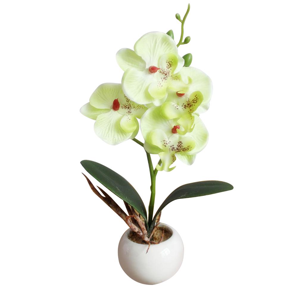 Umělé bytové dekorace Čtyři hlavy Butterfly Orchideje Masitá rostlina Bonsai Květina