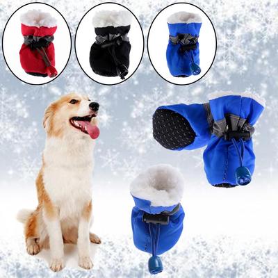 Bekleidung & Schuhe – Hundeschuhe