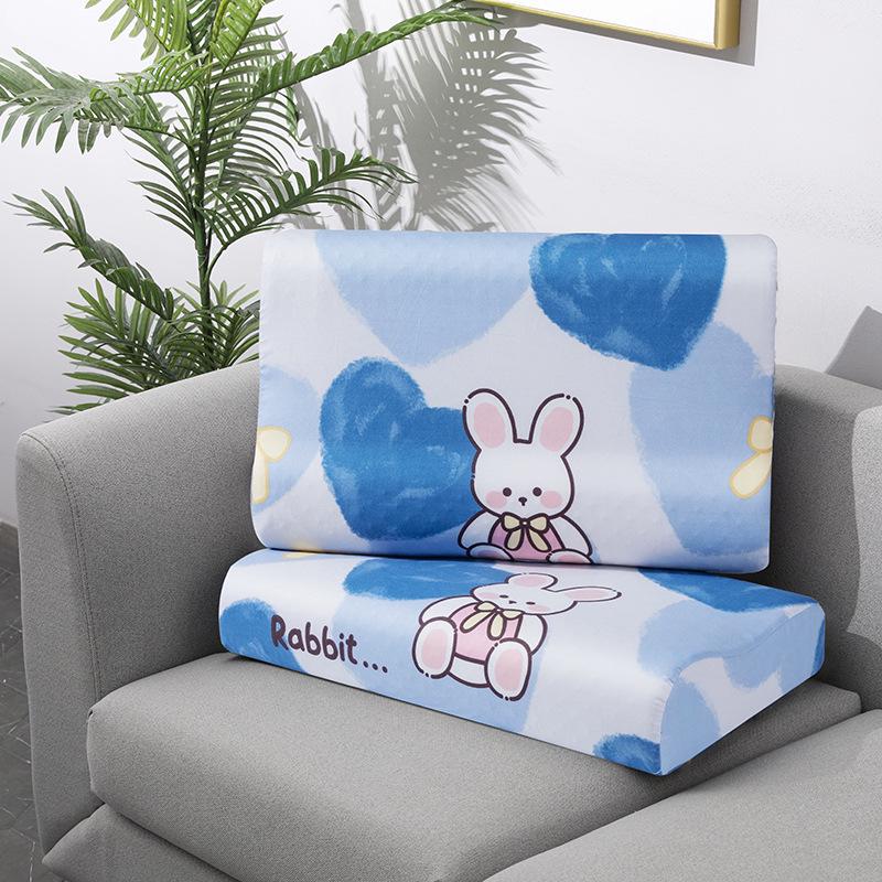 

Wavy Latex Memory Pillow with Special Pillowcase for Children & Adults (40x60 cm) 30X50cm Wavy Pillowcase Pair