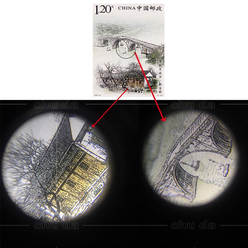 ShiliDe Portable 60x LED Magnifier for Jewelry & Phone