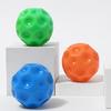 Dog Squeaky Ball Toy Bite Resistant Pet Interactive Chew Toy Small Medium Large Dogs Teething Cleaning Boredom Enrichment Toy