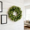 Elegant Shamrocks Wreath Featurings Four Clovers And Green Foliages . 's Celebrations Indoor Use