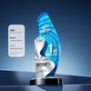 2025 Premium Crystal Trophy with Aluminum Plaque, Ideal for Employee Awards, Annual Meetings, Competitions, and Engraved Souvenirs