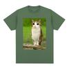 Cat Owl Funny Meowl Meme Brainrot T-shirts Men's Women Clothing Fashion Harajuku Short Sleeves T-shirt Cotton Oversized T Shirts