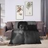 The Vampire Diaries Damon Salvatore TV Series Blanket Quality Soft Warm Throw Blanket Autumn Travel Home Decor Graphic Bedspread