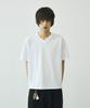 SIGNATURE Crop V-Neck Short Sleeve T-Shirt [4 Colors]