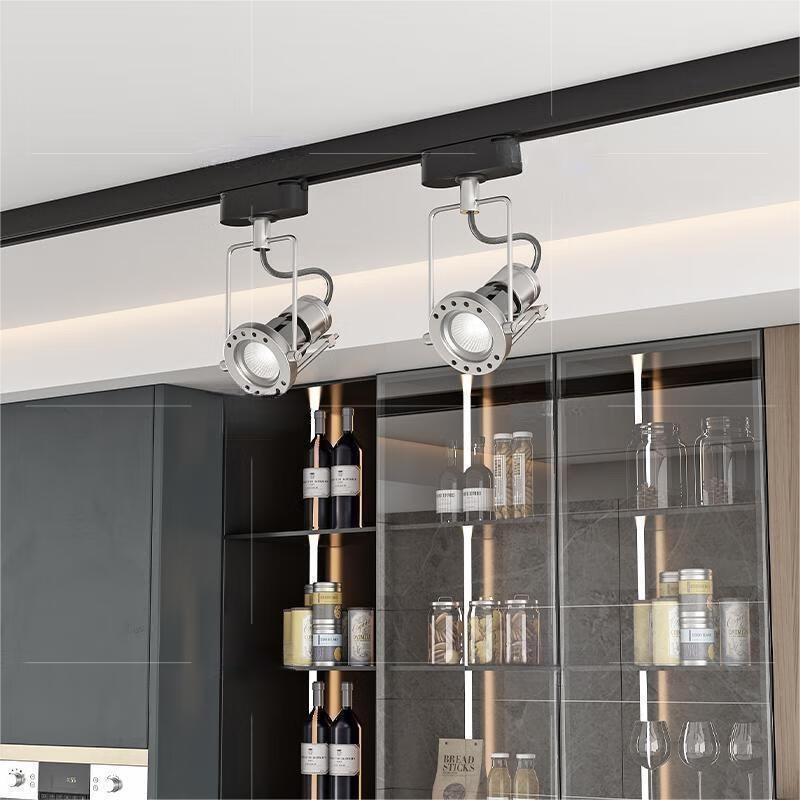 Xuanyong Full Spectrum Surface-Mounted LED Spotlight