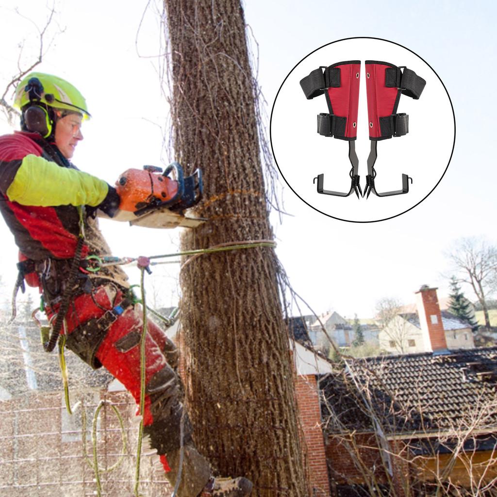 Adjustable Tree Climbing Spikes Hunting Observation Tree Climbing Tool Jungle Survival Tree Climbing Gear Set