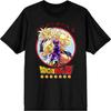 Dragon Ball Z Anime Characters Group Shot Mens Black Graphic Tee Shirt