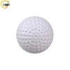 Landa 42mm Golf Plastic Hollow Practice Balls