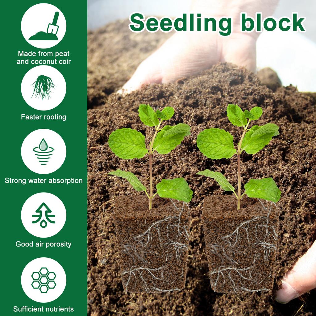 50 szt. Gąbki do uprawy Hydroponiczne korki startowe Ogrodnicze gąbki do rozsady Gąbki z nacięciem skośnym Podłoże do siewu i sadzonkowania