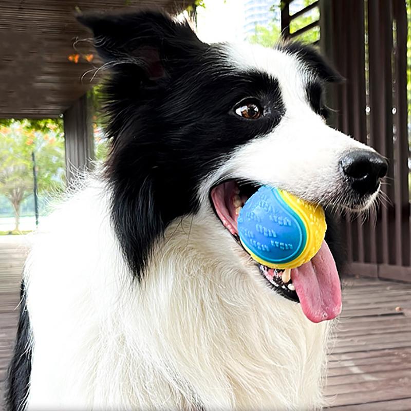 Dog Interactive Ball Soft TPR Toy for Dog Interactive Training Dog Ball Pet Teeth Cleaning Bite Resistance Ball Toy Random Color