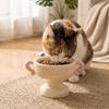 Large Capacity Ceramic Pet Bowl Elevated Cat Feeder Dish Pet Water Feeder Container Puppy Cats
