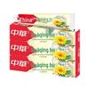 Zhonghua Herbal Honeysuckle & Chrysanthemum Toothpaste 90g X 3 Value Pack